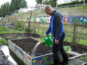 Watering the garden