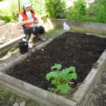 Preparing for planting